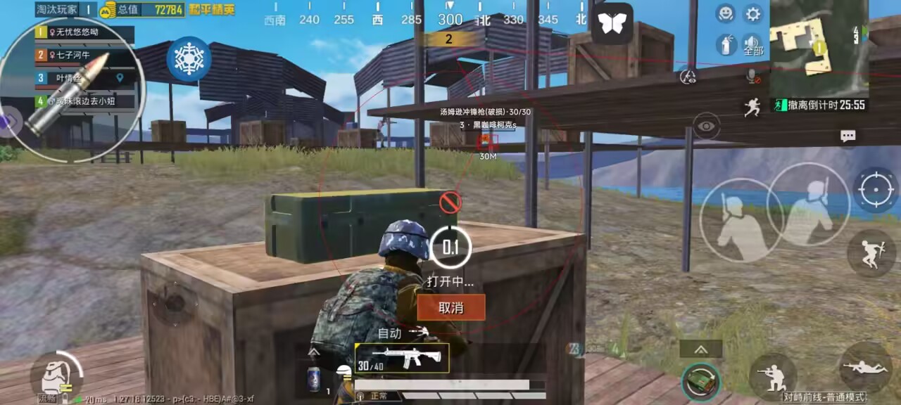 和平精英《双仔》辅助